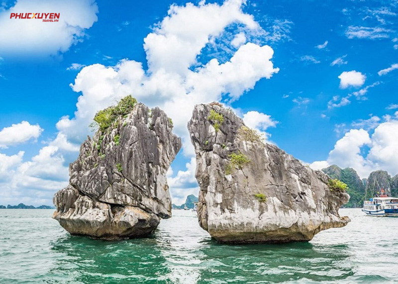 Tour Hà Nội - Hạ Long 1 ngày