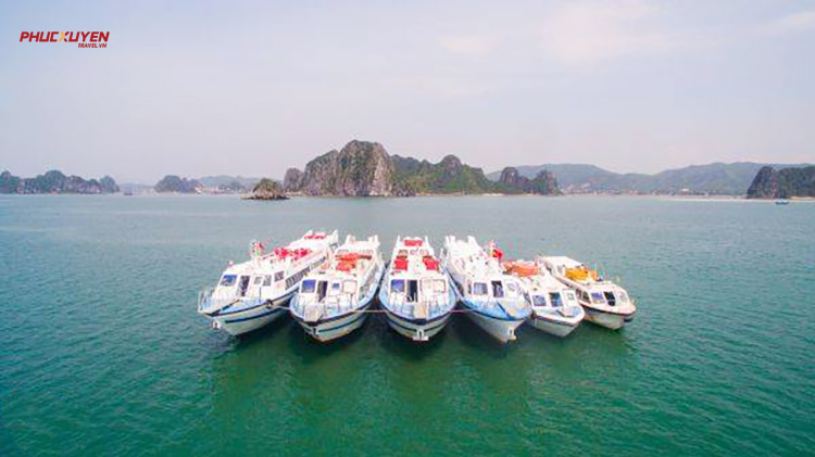 Tàu cao tốc Cô Tô Hoàng Quân