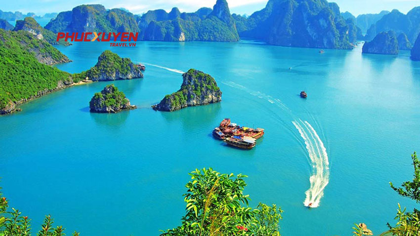 Chia sẻ tất tần tật kinh nghiệm du lịch Hà Nội - Hạ Long 1 ngày